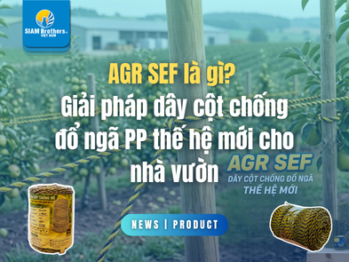 AGR SEF là gì? Giải pháp dây cột chống đổ ngã PP thế hệ mới cho nhà vườn