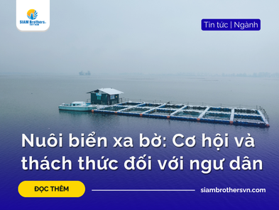 Nuôi biển xa bờ: Cơ hội và thách thức đối với ngư dân