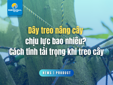 Dây treo nâng cây chịu lực bao nhiêu? Cách tính tải trọng khi treo cây
