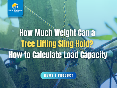 How Much Weight Can a Tree Lifting Sling Hold? How to Calculate Load Capacity