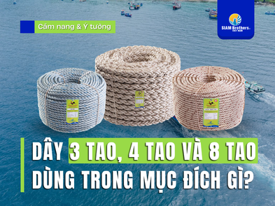 Dây 3 tao, 4 tao, 8 tao: chọn đúng kết cấu theo tải và điều kiện làm việc