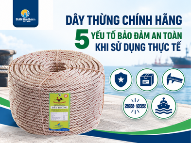Dây thừng chính hãng và bài toán an toàn trong sử dụng thực tế