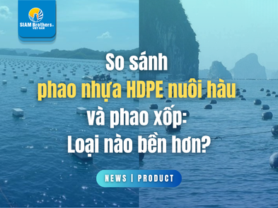 So sánh phao nhựa HDPE nuôi hàu và phao xốp: Loại nào bền hơn?