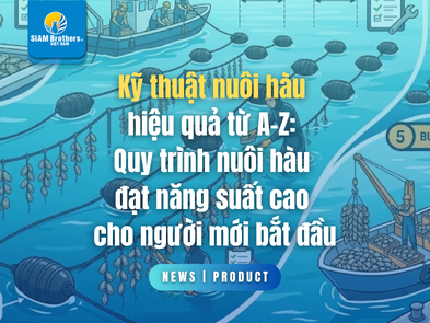 Kỹ thuật nuôi hàu hiệu quả từ A-Z: Quy trình nuôi hàu đạt năng suất cao cho người mới bắt đầu
