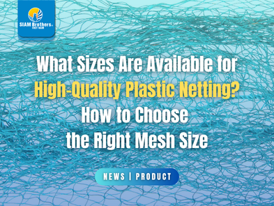 What Sizes Are Available for High-Quality Plastic Netting? How to Choose the Right Mesh Size