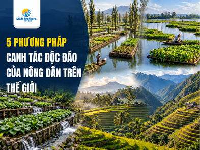 5 phương pháp canh tác độc đáo của nông dân trên thế giới