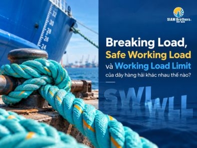 Breaking Load, Safe Working Load và Working Load Limit của dây hàng hải khác nhau thế nào?