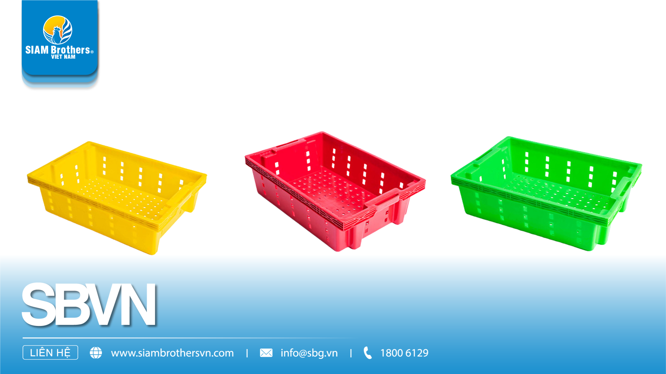 Khay Nhựa Đa Năng: 1 Chiếc Khay – 100 Cách Dùng Cho Mọi Ứng Dụng