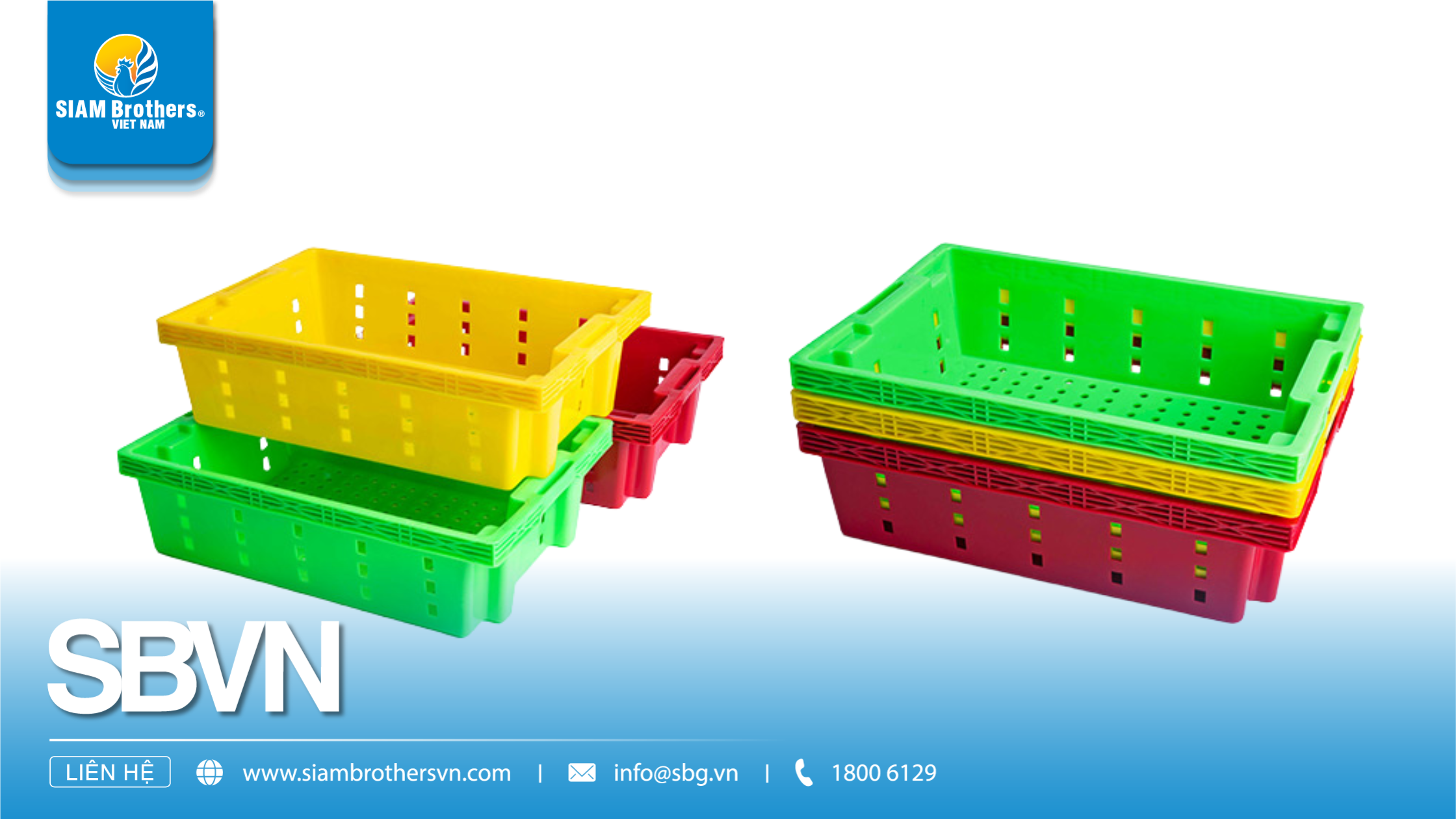 Khay Nhựa Đa Năng: 1 Chiếc Khay – 100 Cách Dùng Cho Mọi Ứng Dụng