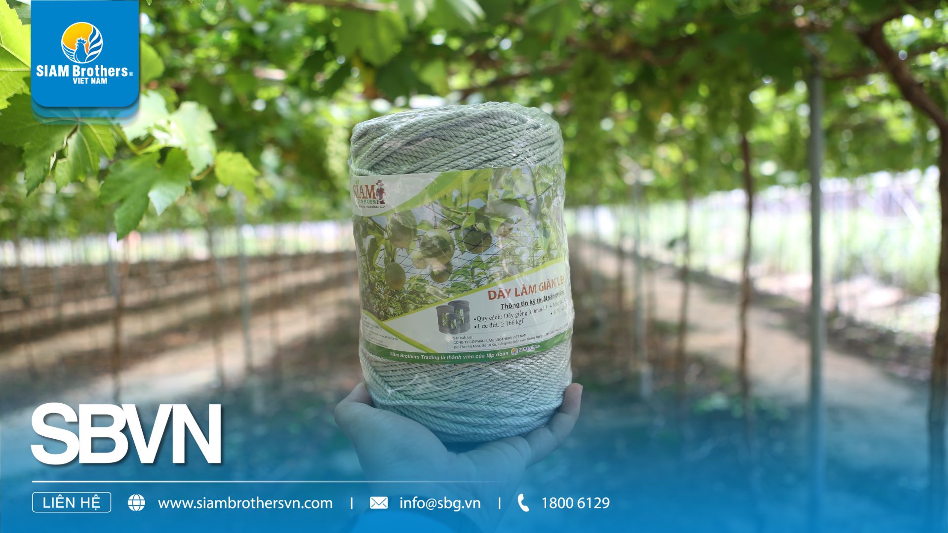 Nên Sử Dụng Loại Dây Nào Để Làm Giàn Leo Cho Cây Hiệu Quả?