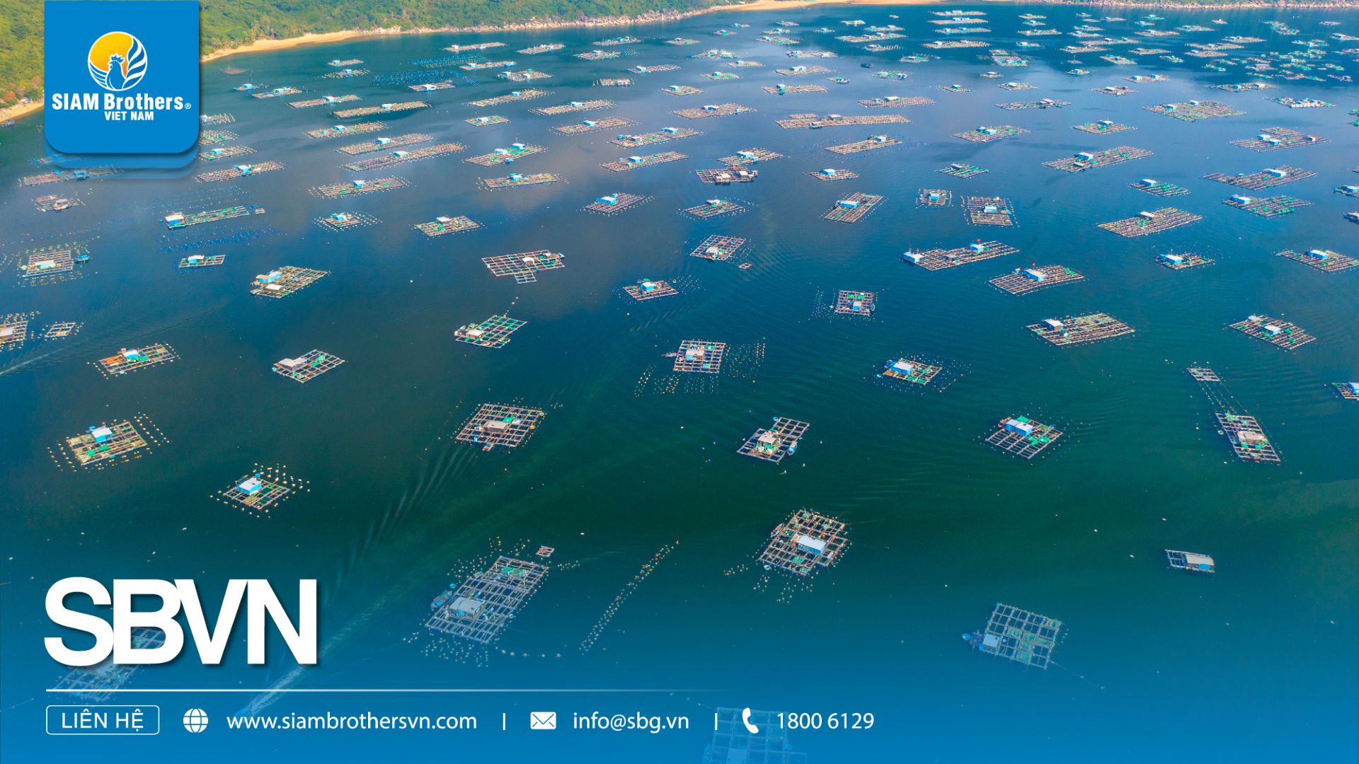 Những Sai Lầm Khi Thiết Kế Khu Nuôi Biển Và Cách Khắc Phục Hiệu Quả