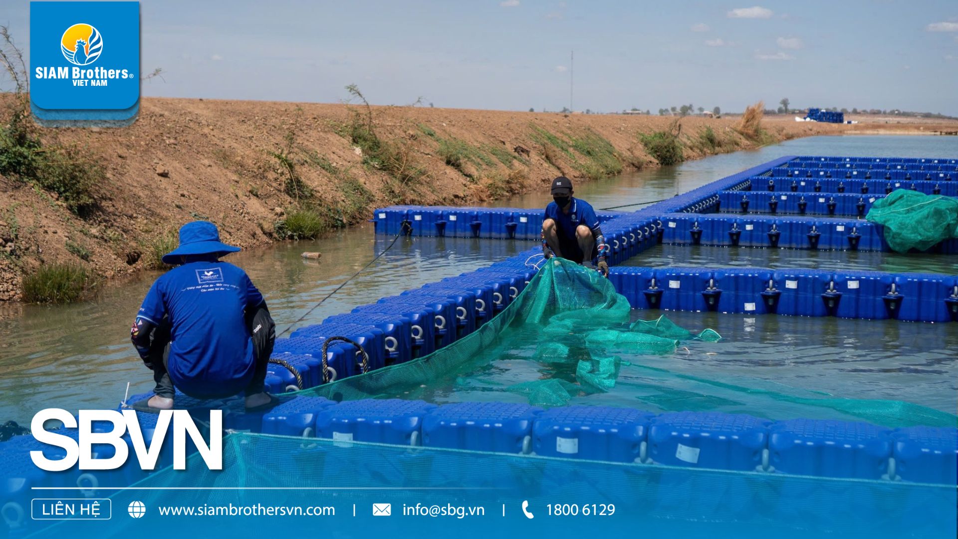 Những Sai Lầm Khi Thiết Kế Khu Nuôi Biển Và Cách Khắc Phục Hiệu Quả