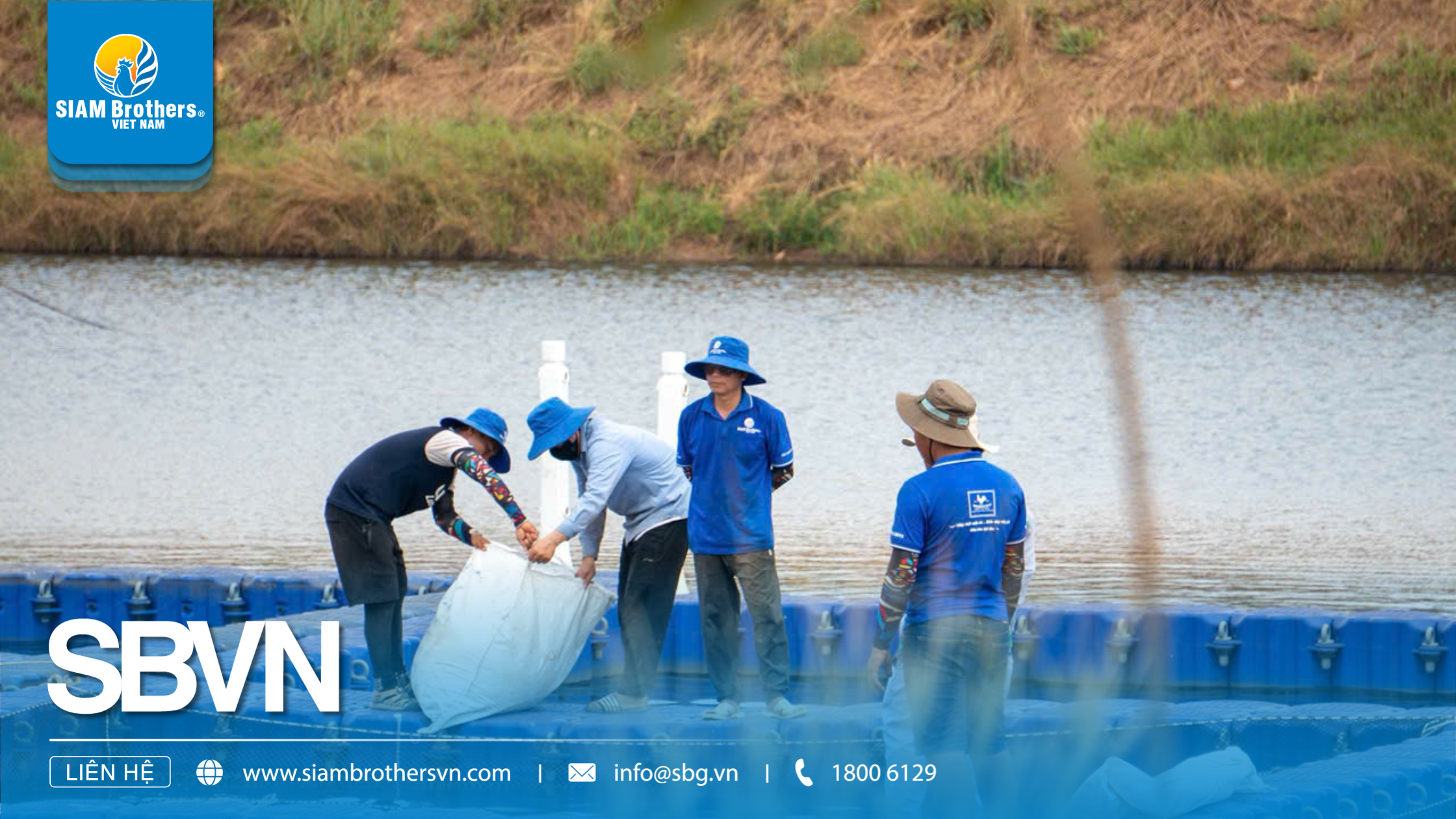 Hướng Dẫn Nuôi Cá Lồng Bè Trên Sông Và Hồ Chứa: Kỹ Thuật Chọn Vị Trí, Thả Giống & Phòng Bệnh