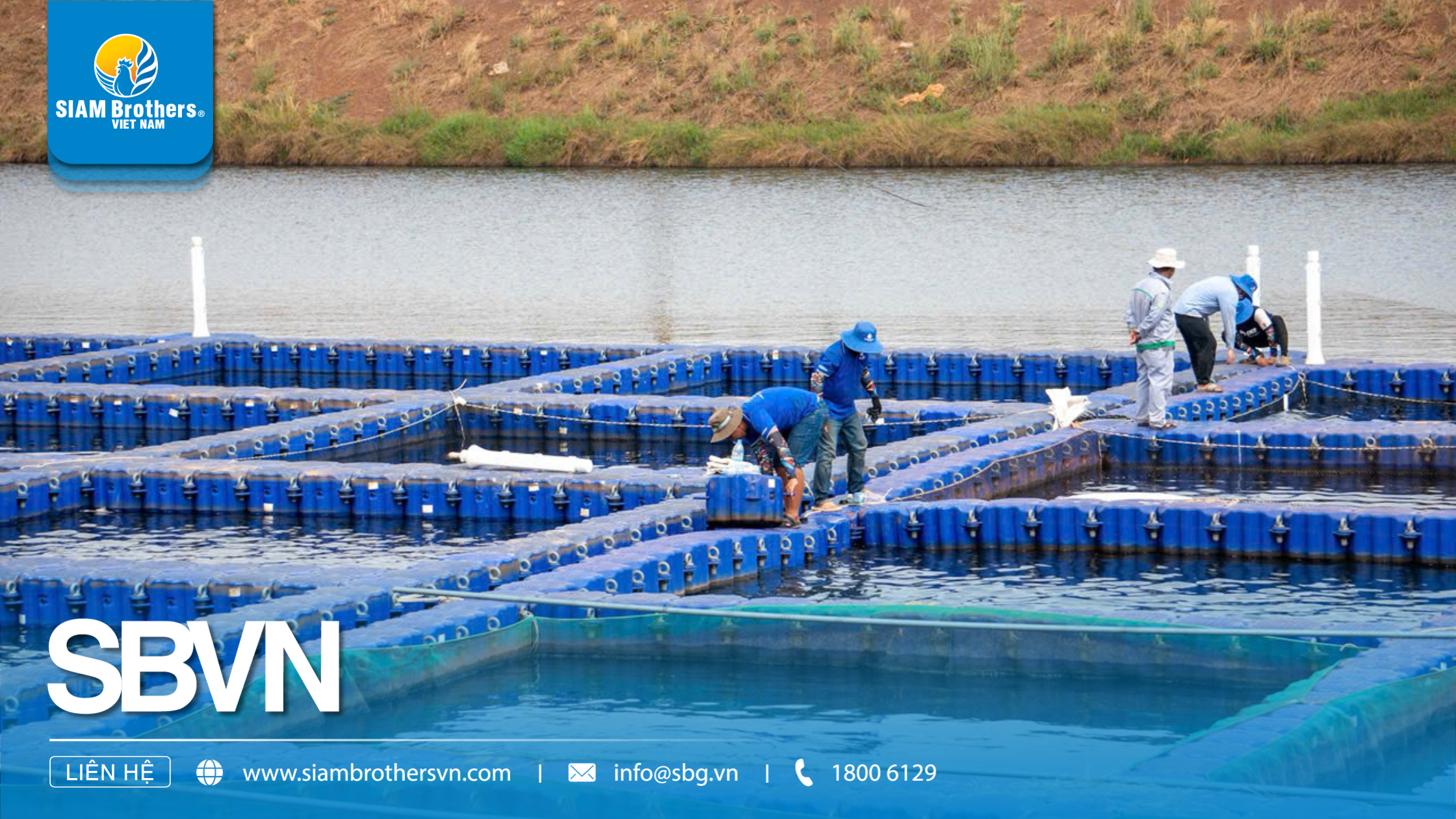 Hướng Dẫn Nuôi Cá Lồng Bè Trên Sông Và Hồ Chứa: Kỹ Thuật Chọn Vị Trí, Thả Giống & Phòng Bệnh