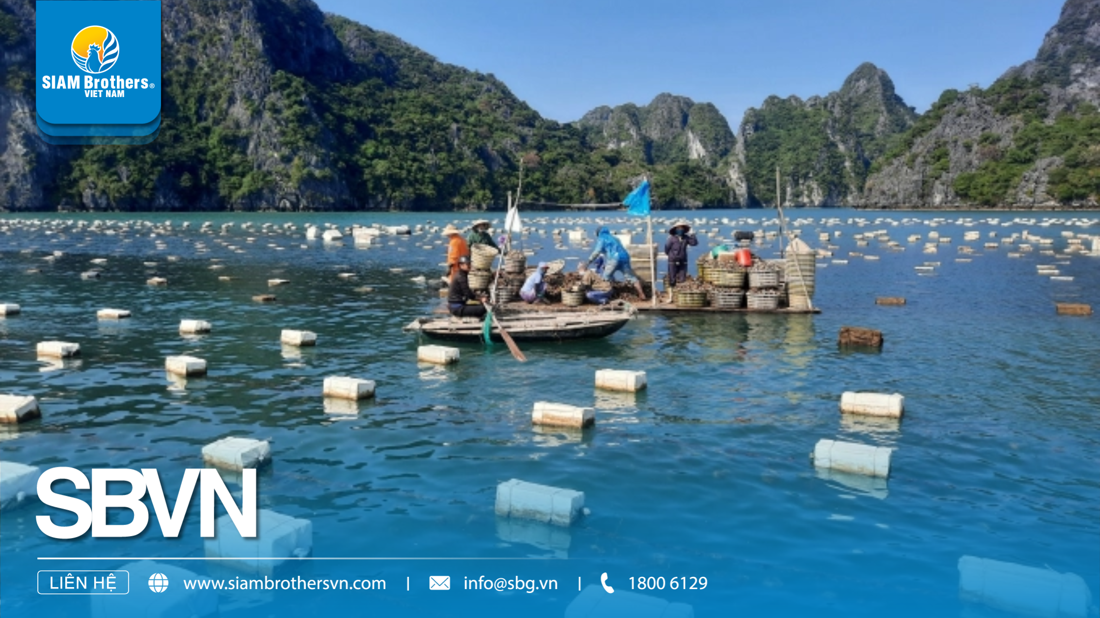 Xu hướng vật liệu HDPE trong nuôi trồng thủy sản và tương lai nuôi biển công nghiệp tại Việt Nam