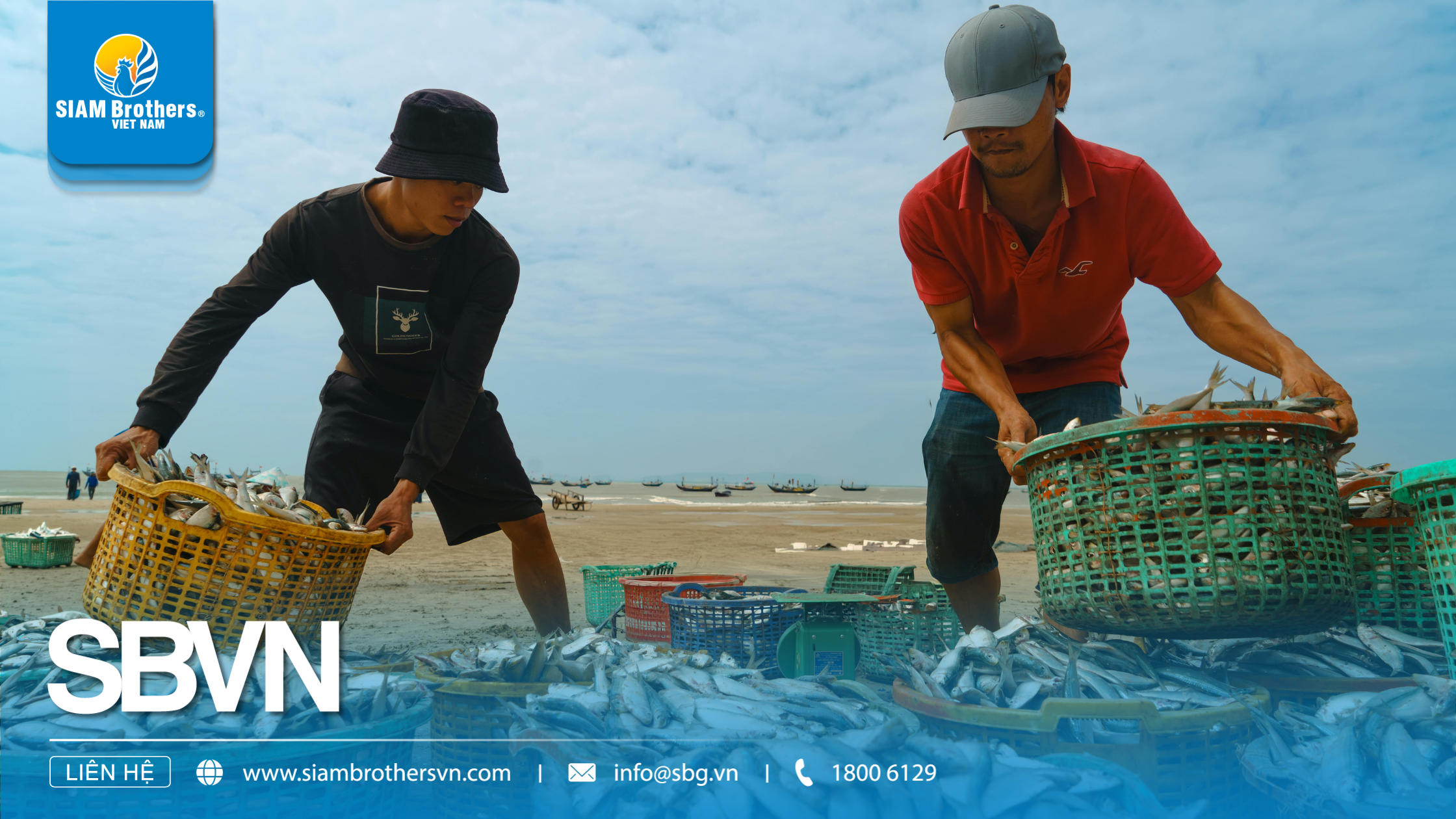 2026: Quy Định Mới Nhất Về Khai Thác Đánh Bắt Thủy Hải Sản Việt Nam