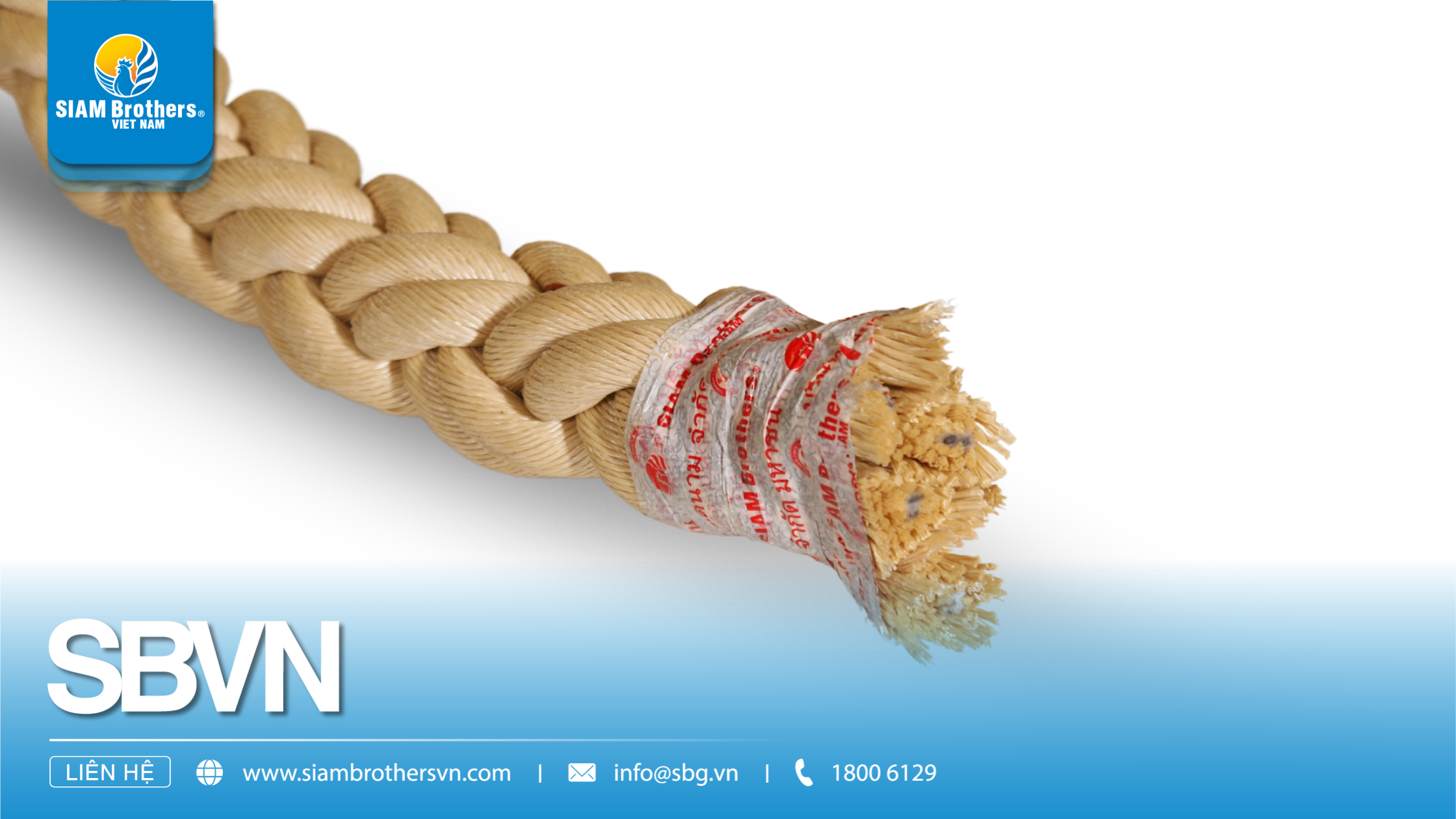 Dây nào tốt nhất cho môi trường nước mặn?