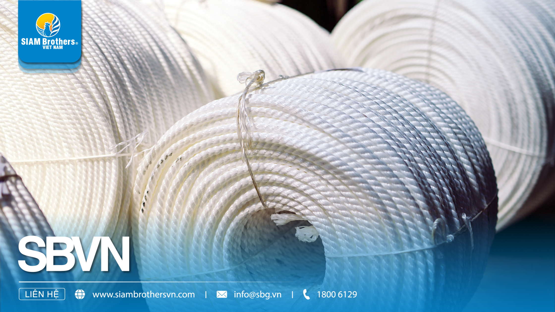 Dây nào tốt nhất cho môi trường nước mặn?