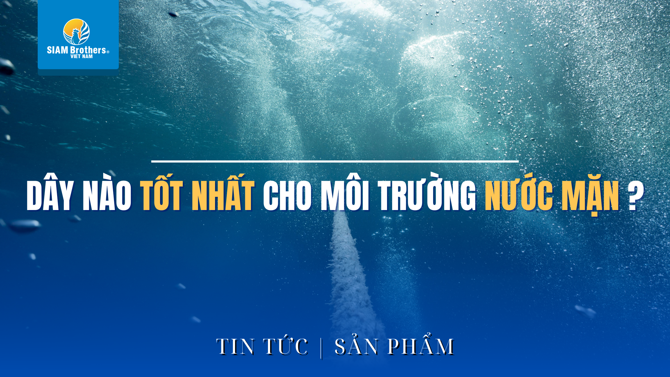 Dây nào tốt nhất cho môi trường nước mặn?