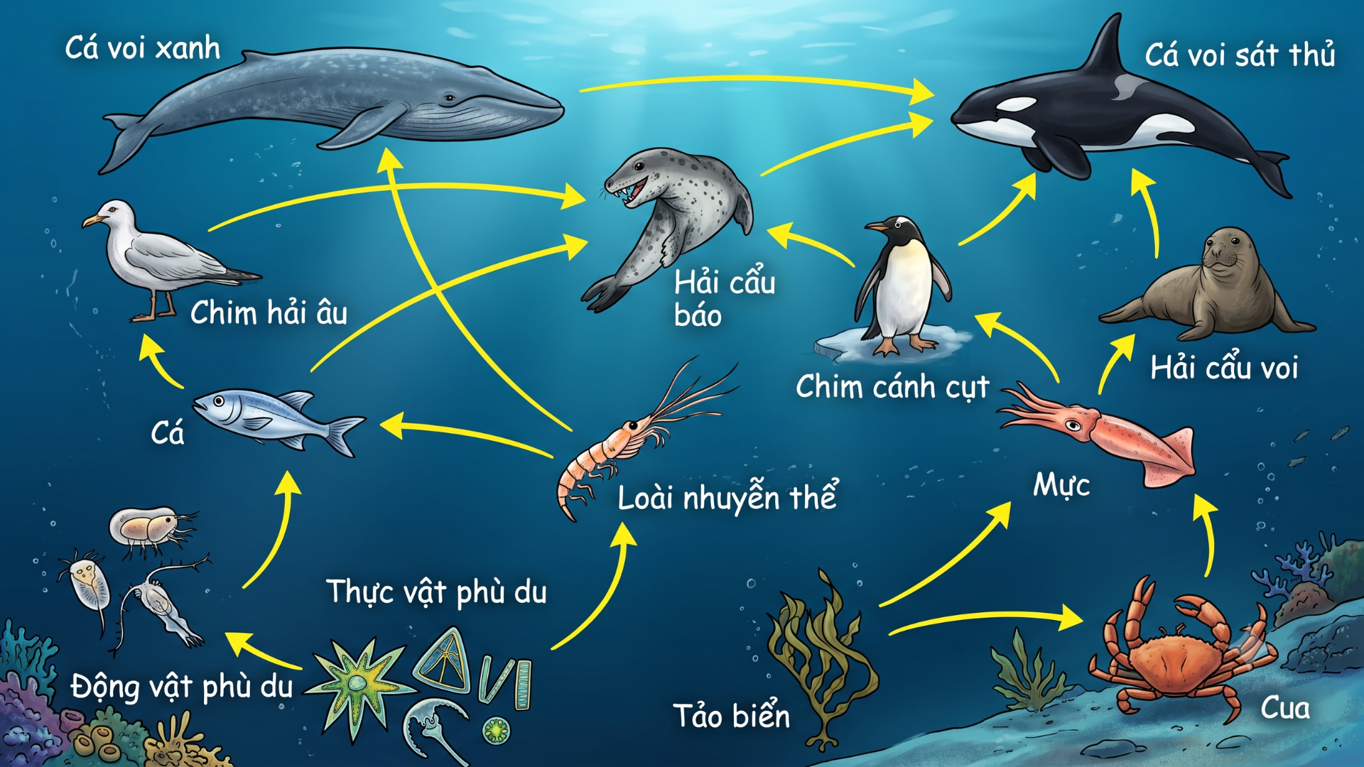Sinh vật đại dương: Từ thế giới phù du đến những vùng biển sâu