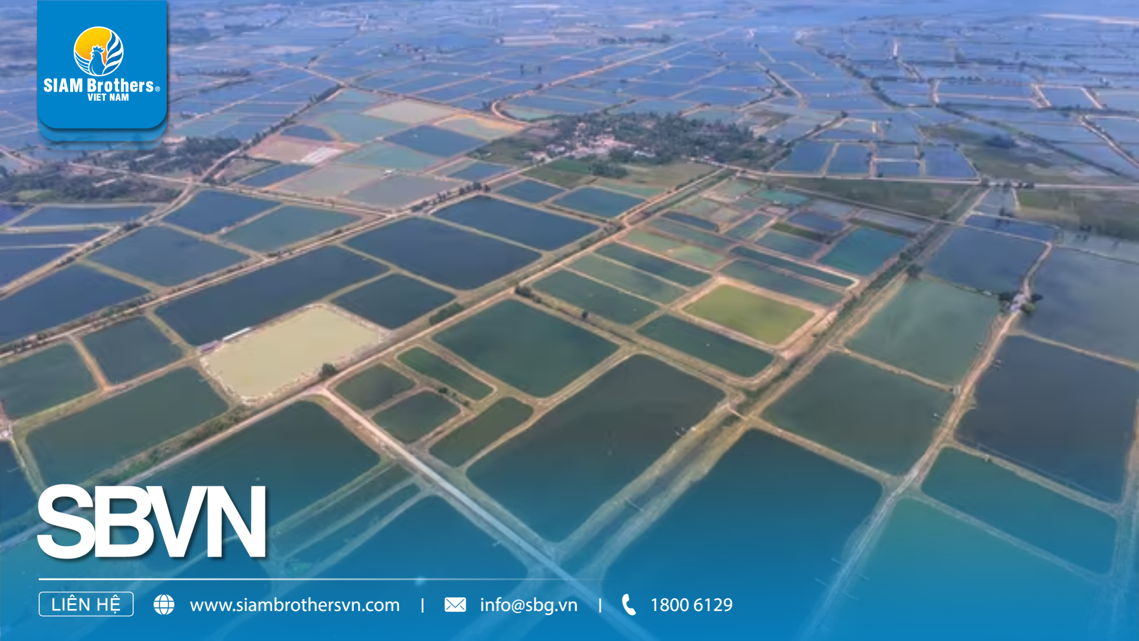 Quy mô ao nuôi trồng thủy sản hiện đại tại châu Á