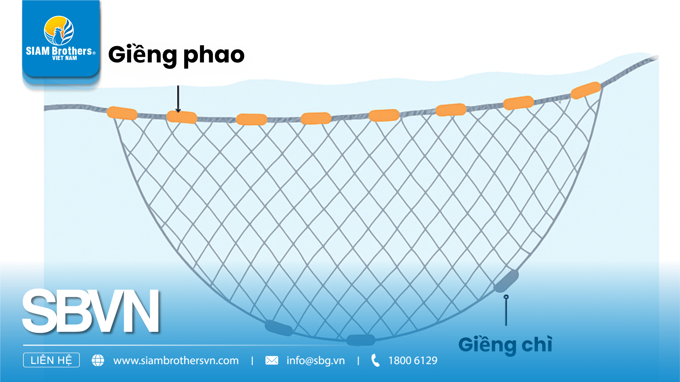 Vì sao ngư dân ưu tiên dây giềng chất lượng cao cho khai thác gần bờ?