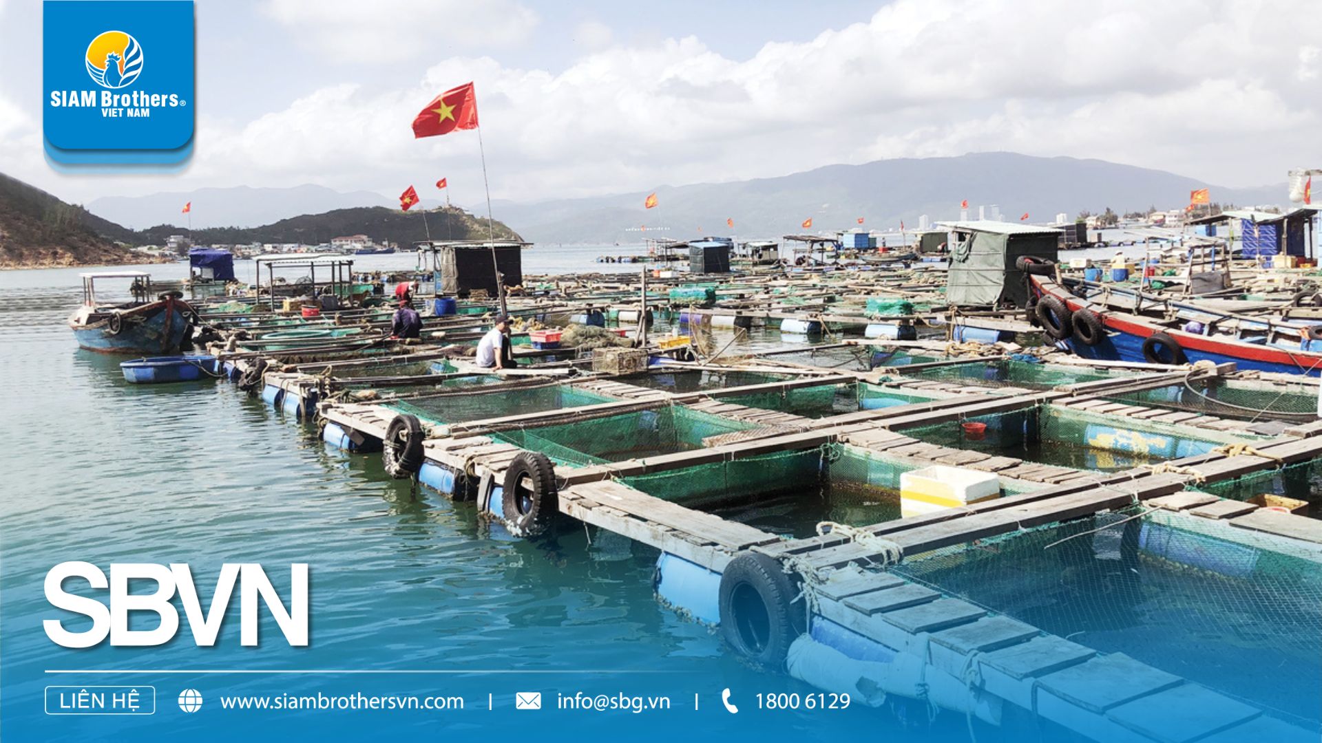 Top 5 ứng dụng nổi bật của dây thừng 8 tao trên tàu đánh cá xa bờ