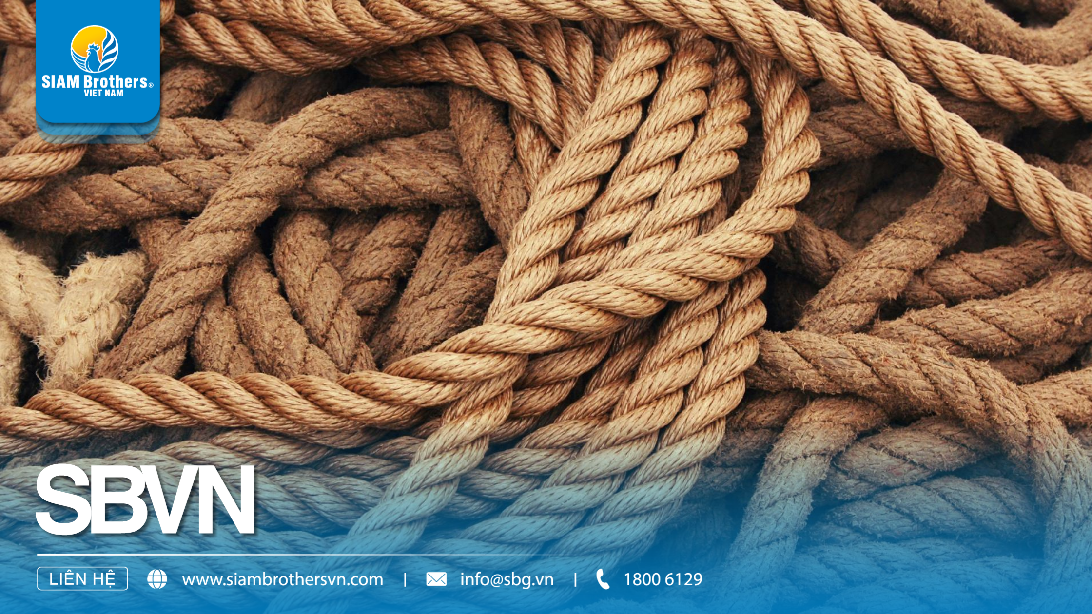 Tương lai của ngành sản xuất dây thừng