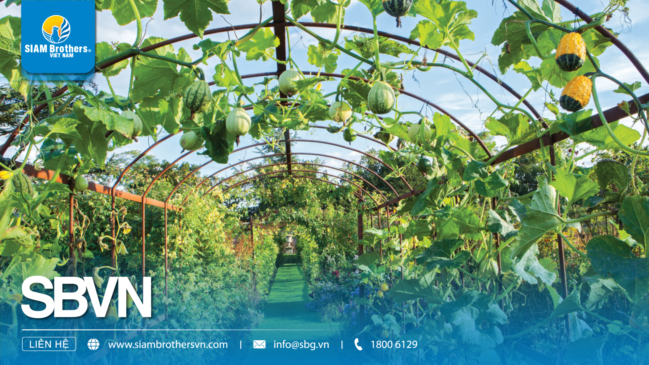 Xu hướng nông nghiệp công nghệ cao Việt Nam 2026: Tăng năng suất – Giảm sức người – Hướng tới phát triển bền vững