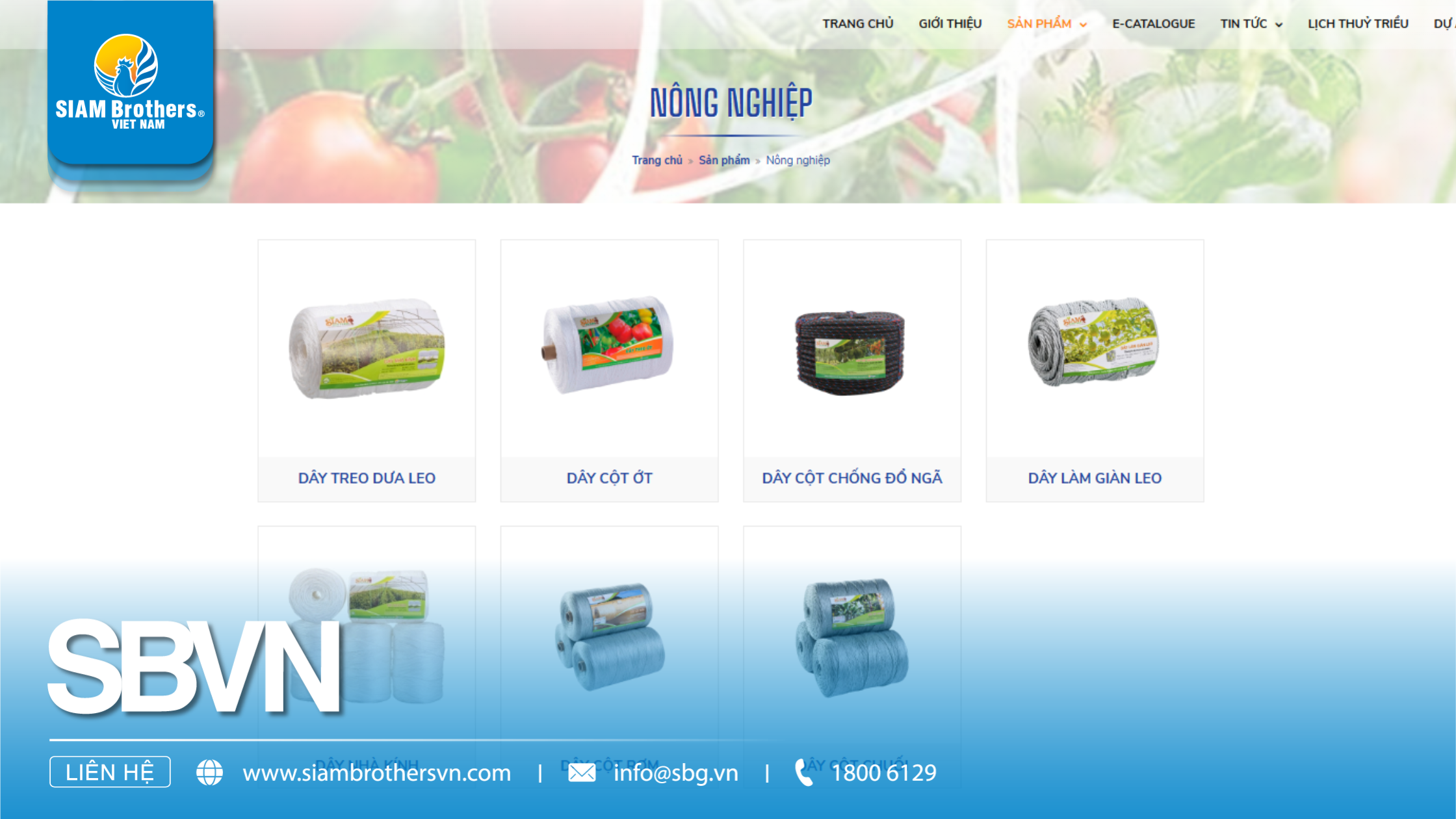 Xu hướng nông nghiệp công nghệ cao Việt Nam 2026: Tăng năng suất – Giảm sức người – Hướng tới phát triển bền vững